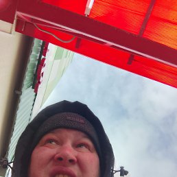 , 41, 