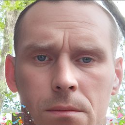, 41 , 