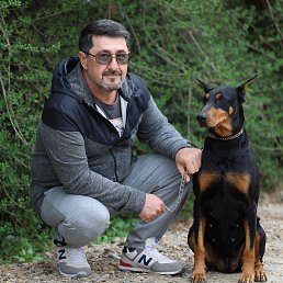 , 53, 
