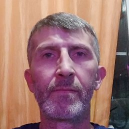 �����, �������-�����, 46 ���