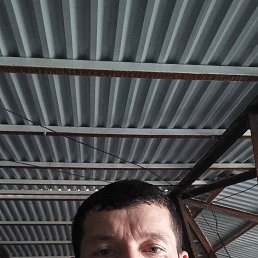 , 33, 