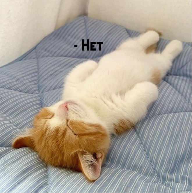       - 16  2025  21:18 - 2