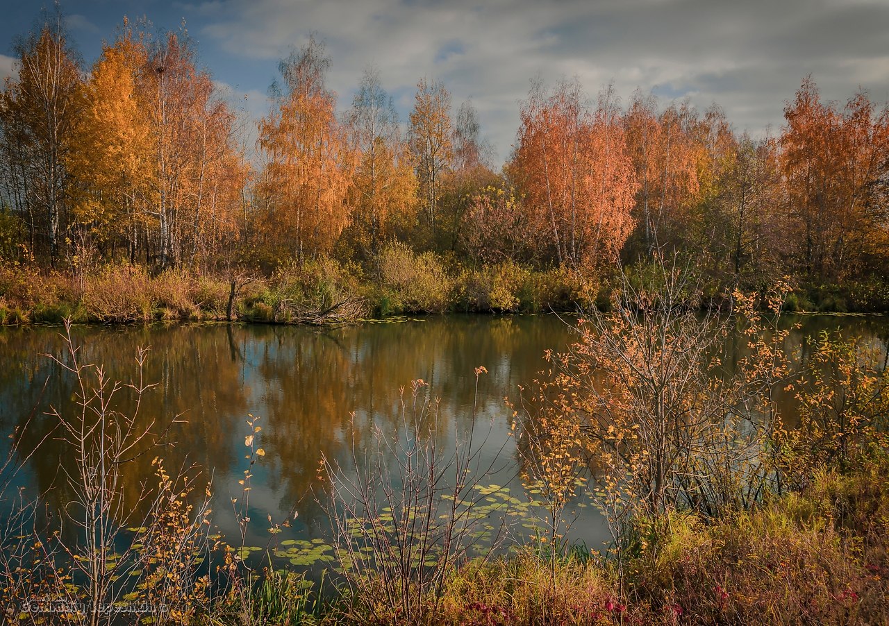 e op. aca oac, ac pao, c. aocoe, p. oa.