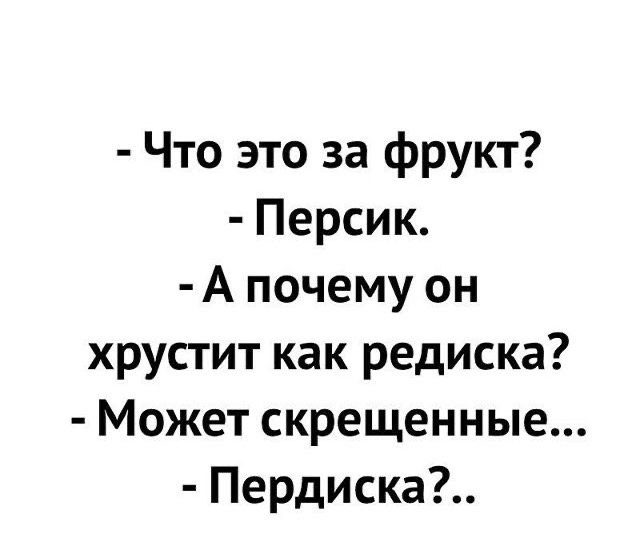   . - 24  2025  09:20