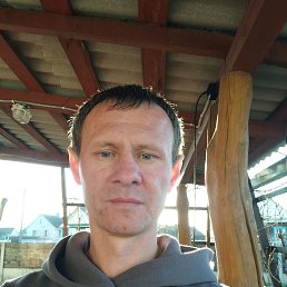 , 39, 