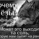  , - -  17  2025    