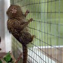 ���� ������, ������������, 55 ��� - ��������� 9 ������ 2026 � ������ ������ ��������