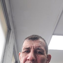 , 52 , 