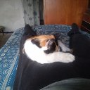 ���� ����, ������, 26 ��� - ��������� 25 ����� 2024 � ������ ���� ����������