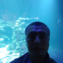 , 48, 