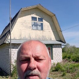 , 61, 