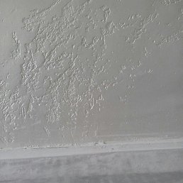 ����, �����, 53 ����