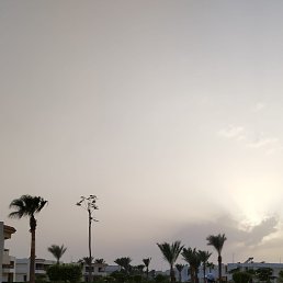 ���� ��������, ����, 46 ��� - ��������� 22 ����� 2024