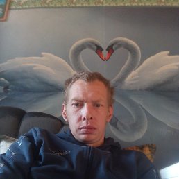 , 36, 