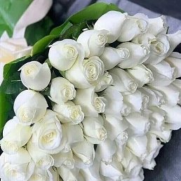 �����, ��������, 52 ����