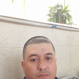 , 40,  