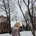 ���� ������, �������, 61 ��� - ��������� 14 ������ 2024