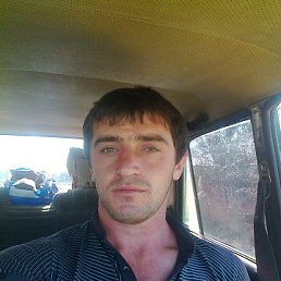 , 37, 