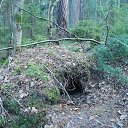  , -, 67  -  24  2023    