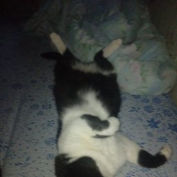 ���� ����, �������, 39 ��� - ��������� 24 ����� 2026