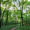 ���� Oleg, ������ - ��������� 10 ������ 2026 � ������ �Environs�