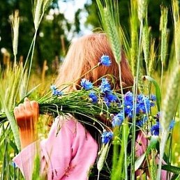 �������, ��������, 42 ����