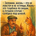 ���� ����, ������-��-���� - ��������� 2 �������� 2025 � ������ �������