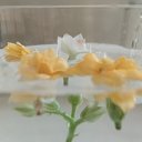 ���� ���������, �����, 66 ��� - ��������� 10 ������� 2026 � ������ ������ ��������