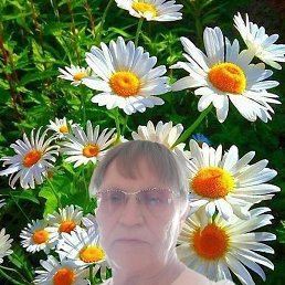 ����, ������ ��������, 75 ���