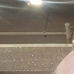 ������, ������ ��������, 45 ���