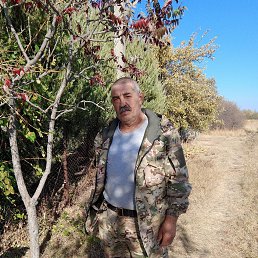 ���� ���������, �����, 61 ��� - ��������� 6 ������� 2024