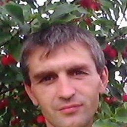 , 45, 