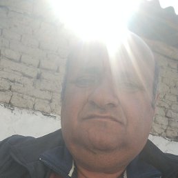 , 56, 