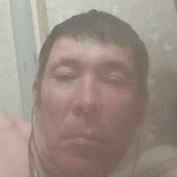 ��������, ������, 49 ���