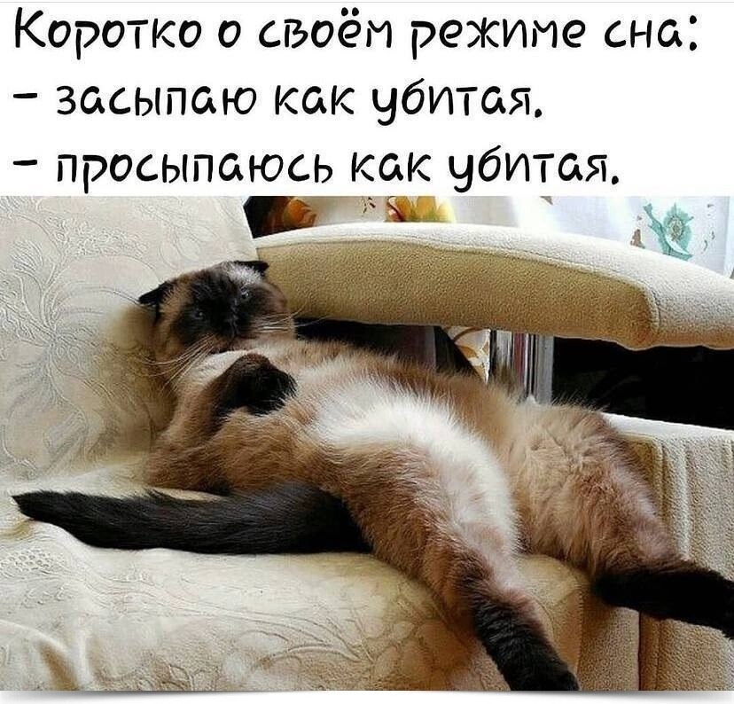 >^..^<