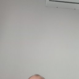 , 50 ,  