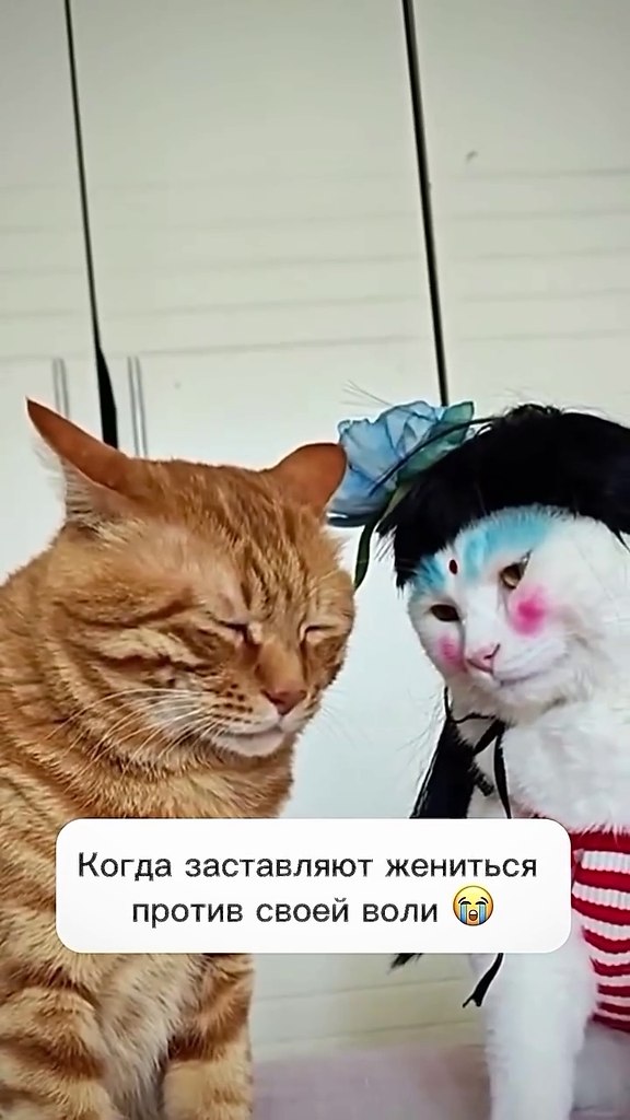      )