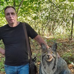 , 50, 