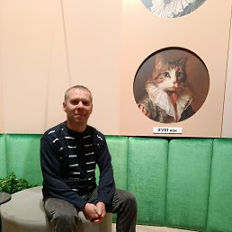 , 41, 