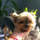 ���� ����, ���������� - ��������� 16 ����� 2026 � ������ ���� ����������
