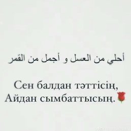 ������, ������, 23 ����