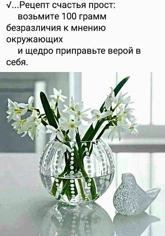   ,    . - 7  2024  21:06