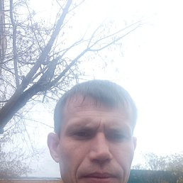, 41 , 