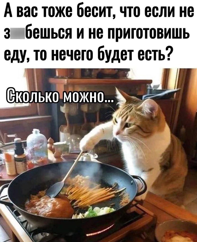 - 7  2025  20:48