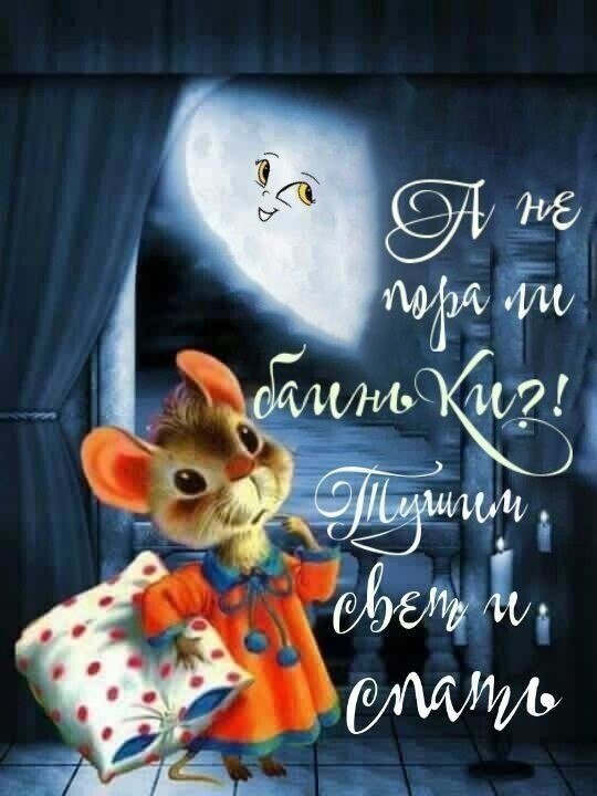  - 12  2025  21:09