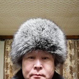 ��������, 58 ���, �����������