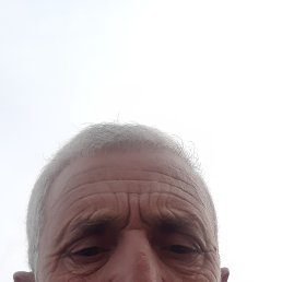 , 57, 