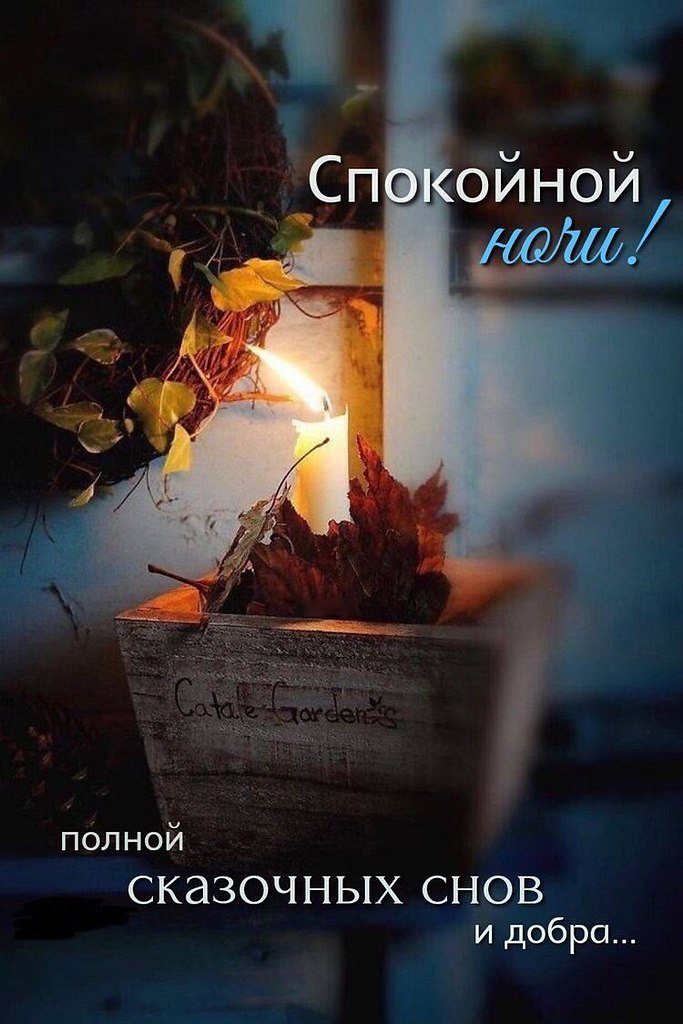   ,    . - 20  2025  21:51