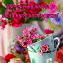 ���� �������, �������� - ��������� 21 ������� 2026 � ������ ������ ��������