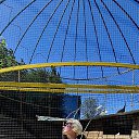 ���� ���, ������, 39 ��� - ��������� 8 ������ 2026